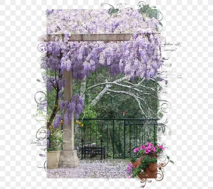 Wisteria Tree Landscape Plant Violet, PNG, 600x729px, Wisteria, Branch, English Lavender, Flora, Floral Design Download Free