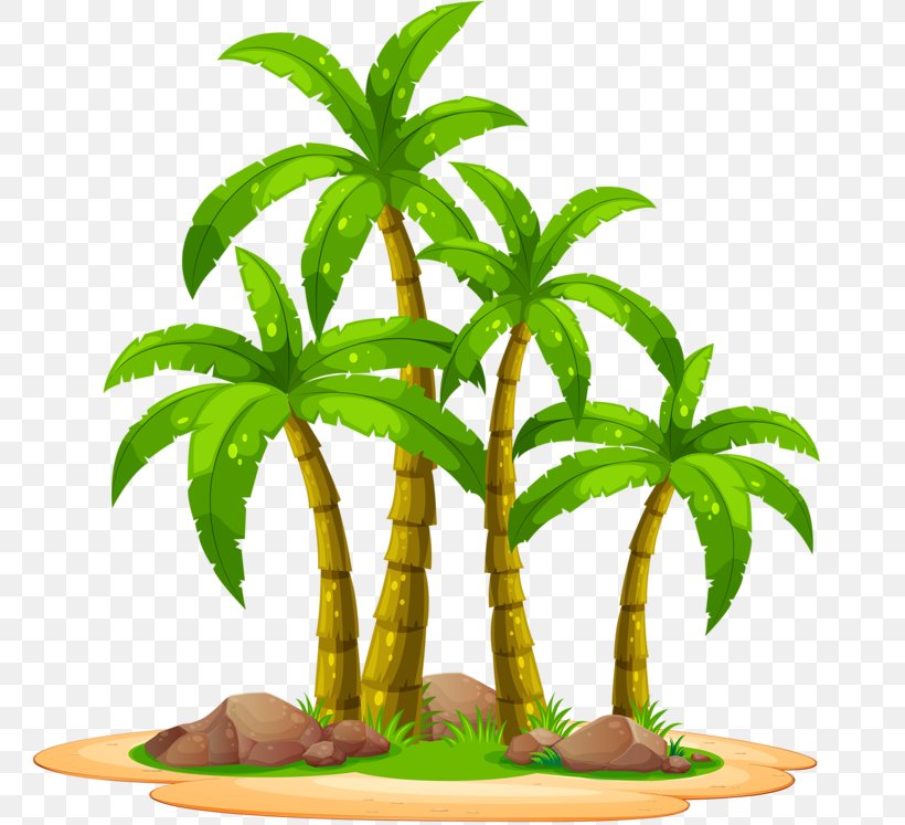 Four Palm, PNG, 800x747px, Coconut Water, Arecales, Coconut, Date Palm, Flowerpot Download Free
