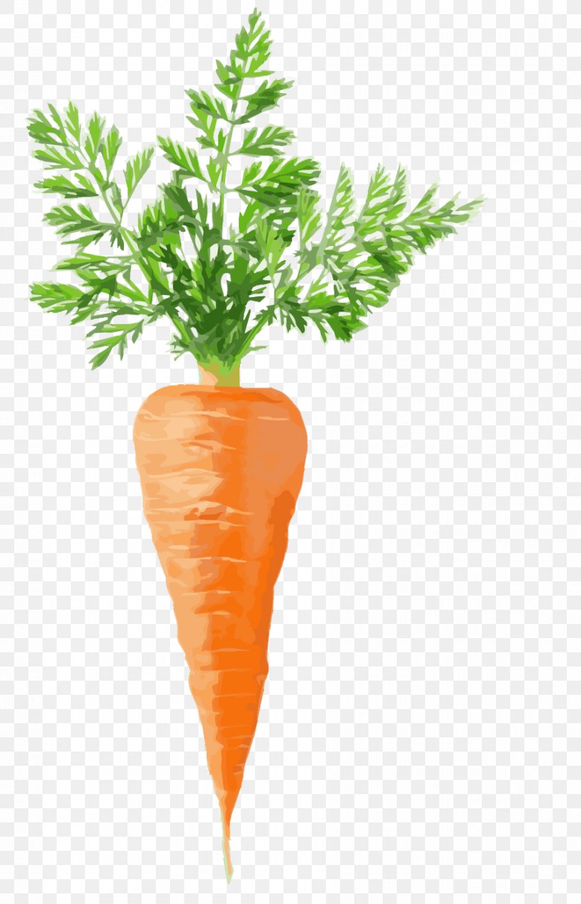Juice Carrot Cake Stock Photography Vegetable, PNG, 900x1400px, Juice, Arracacia Xanthorrhiza, Baby Carrot, Carrot, Carrot Cake Download Free