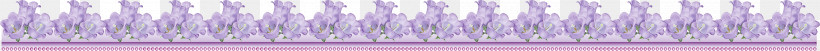 Flower Border Flower Background Floral Line, PNG, 4679x296px, Flower Border, Floral Line, Flower Background, Line, Pink Download Free