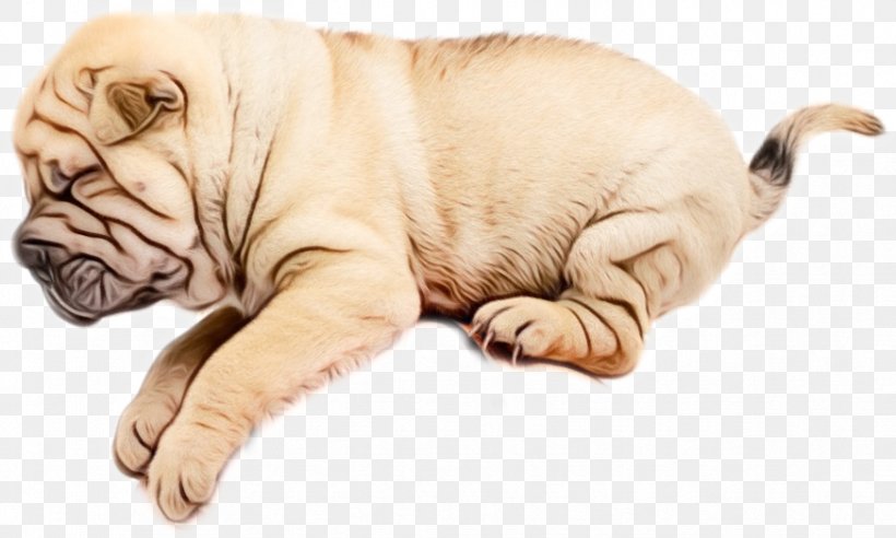 Gun Cartoon, PNG, 873x524px, Shar Pei, Breed, Bulldog, Companion Dog, Crossbreed Download Free