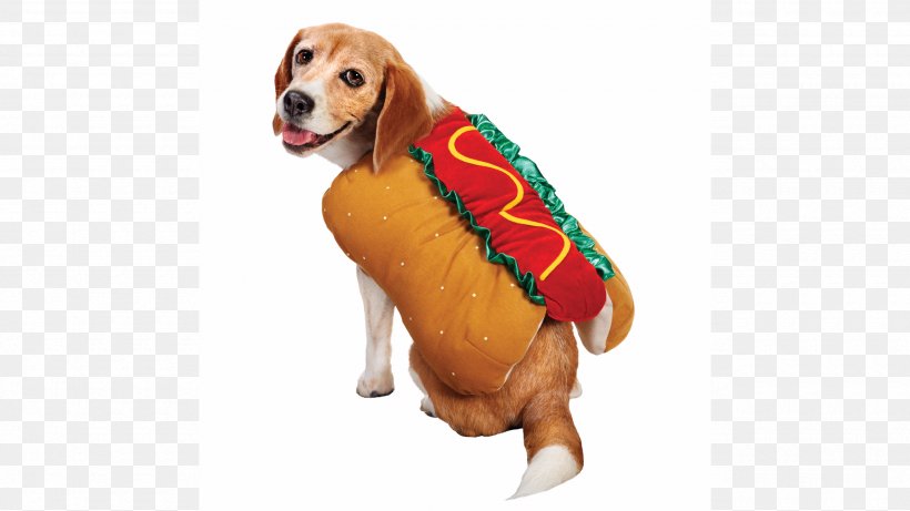 Puppy Dachshund Pet Beagle Hot Dog, PNG, 2560x1440px, Puppy, Beagle, Carnivoran, Companion Dog, Costume Download Free