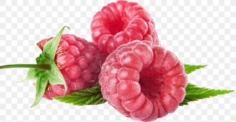 Raspberry Auglis Fruit, PNG, 3427x1776px, Raspberry, Amorodo, Auglis, Avocado, Berry Download Free