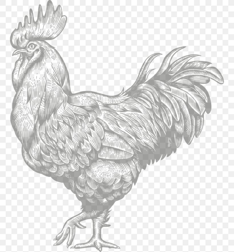 Rooster Chicken Engraving Farm, PNG, 750x883px, Rooster, Art, Beak, Bird, Black And White Download Free