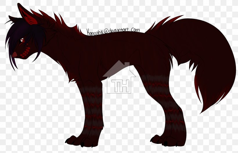 Border Collie Mustang Yorkshire Terrier Canidae Red Fox, PNG, 1400x900px, Border Collie, Breed, Canidae, Carnivoran, Carnivores Download Free