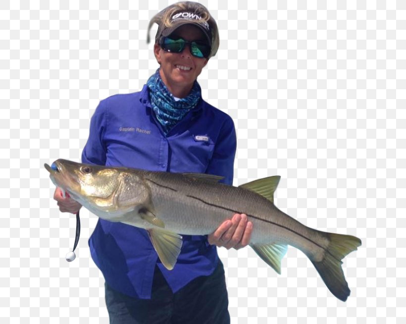Captain Rachel Fishing Rods Marina Drive Fish Hook, PNG, 646x654px, Fishing, Barramundi, Bass, Cod, Coho Download Free
