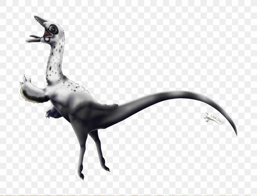 Compsognathus Dinosaur Velociraptor Bird Science, PNG, 2750x2100px, Compsognathus, Art, Bird, Blackandwhite, Dinosaur Download Free
