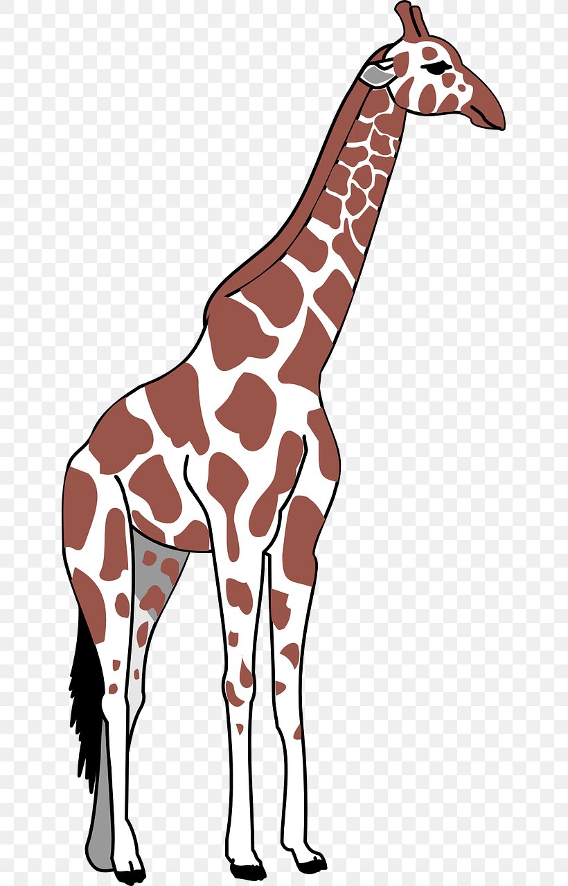 Giraffe Neck Greater Rhea Clip Art, PNG, 641x1280px, Giraffe, Animal, Animal Figure, Fauna, Giraffidae Download Free