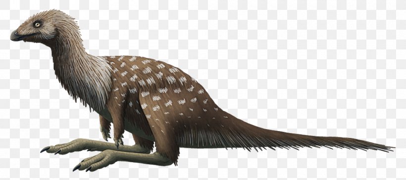 Ornithomimosauria Limusaurus Ceratosaurus Ceratosauria Dinosaur, PNG, 1000x445px, Ornithomimosauria, Allosaurus, Animal Figure, Carnivoran, Ceratosauria Download Free