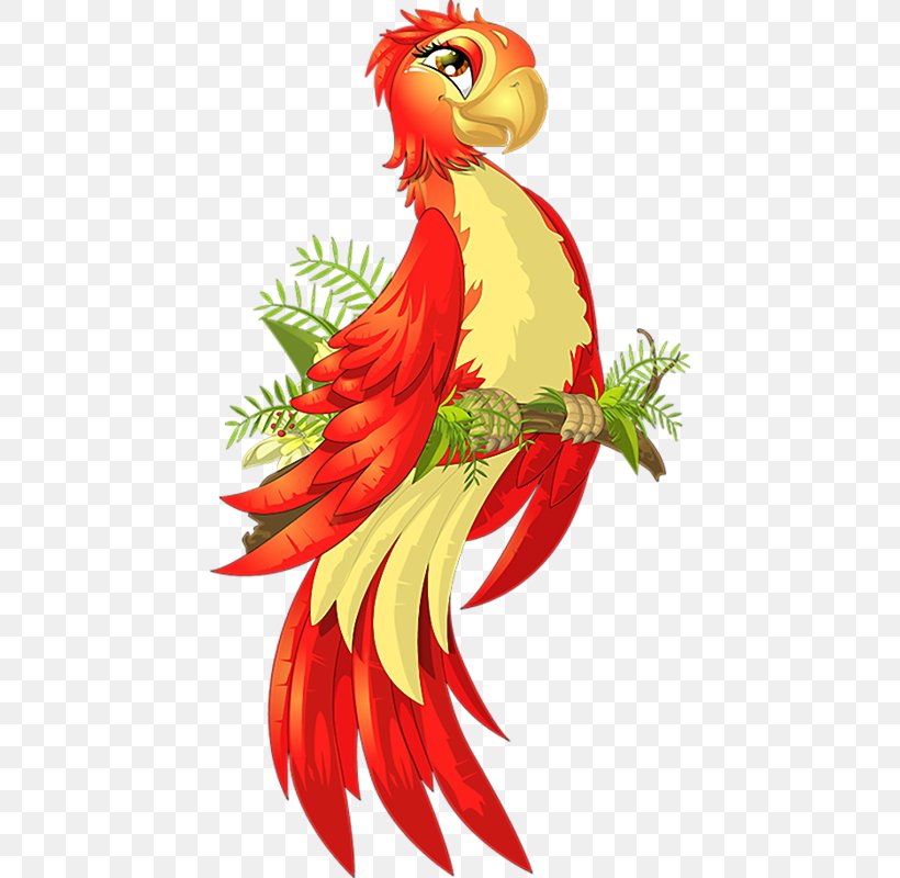 Parrot Bird Vector Graphics Stock Photography Illustration, PNG, 438x800px, Parrot, Art, Beak, Bird, Chicken Download Free