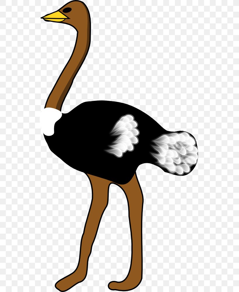Common Ostrich Bird Free Content Clip Art, PNG, 547x1000px, Common Ostrich, Art, Beak, Bird, Drawing Download Free
