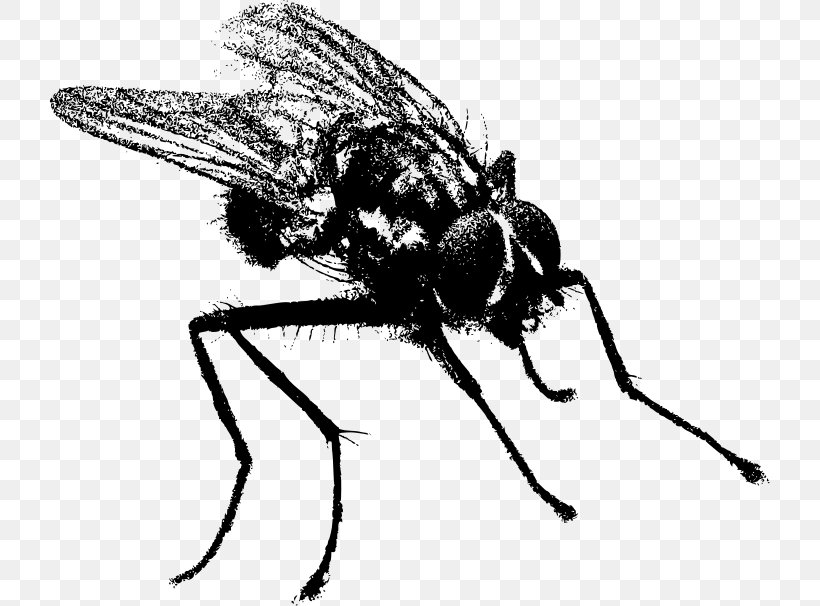 Mosquito T-shirt Clip Art, PNG, 721x606px, Mosquito, Arthropod, Artwork, Bee, Black And White Download Free