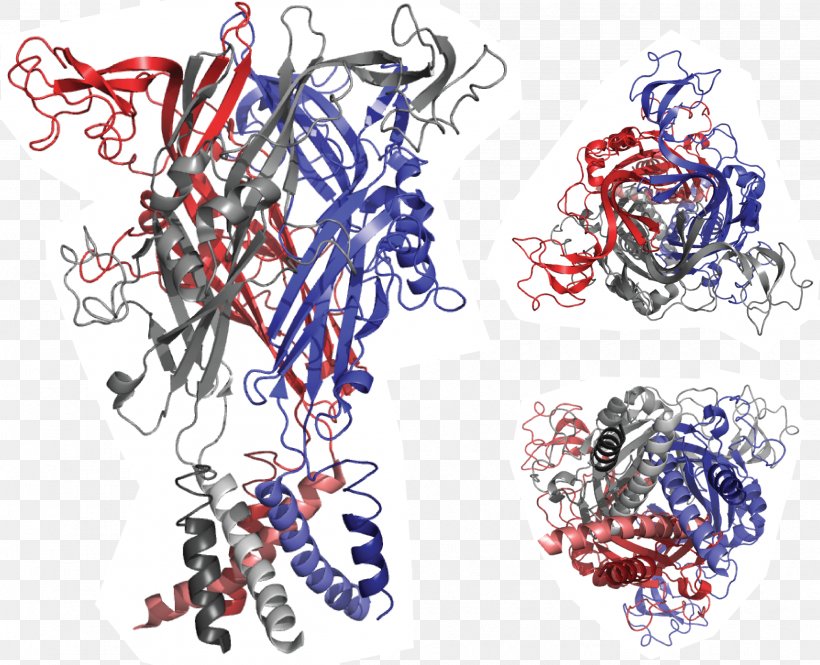 P2X Purinoreceptor Ligand-gated Ion Channel P2RX7 Purinergic Receptor, PNG, 2507x2035px, Receptor, Adenosine Triphosphate, Art, Body Jewelry, Crystal Structure Download Free