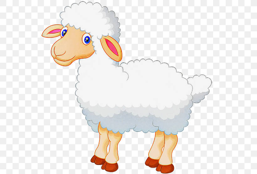 Sheep Sheep Animal Figure Cartoon Livestock, PNG, 555x555px, Sheep, Animal Figure, Beak, Cartoon, Cowgoat Family Download Free