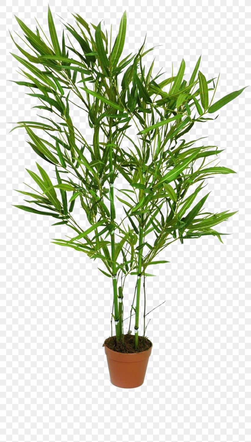 Bamboo Trunk Tree Plant Artificial Flower, PNG, 908x1600px, Bamboo, Arecales, Artificial Flower, Blume, Evergreen Download Free