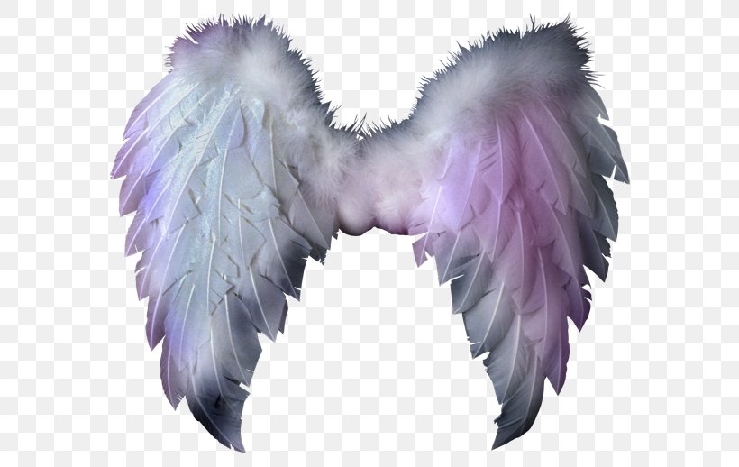Clip Art, PNG, 600x518px, Layers, Angel, Angel Wing, Dots Per Inch, Feather Download Free