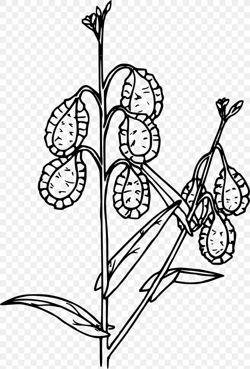 Clip Art, PNG, 1624x2400px, Drawing, Area, Art, Black And White, Branch Download Free