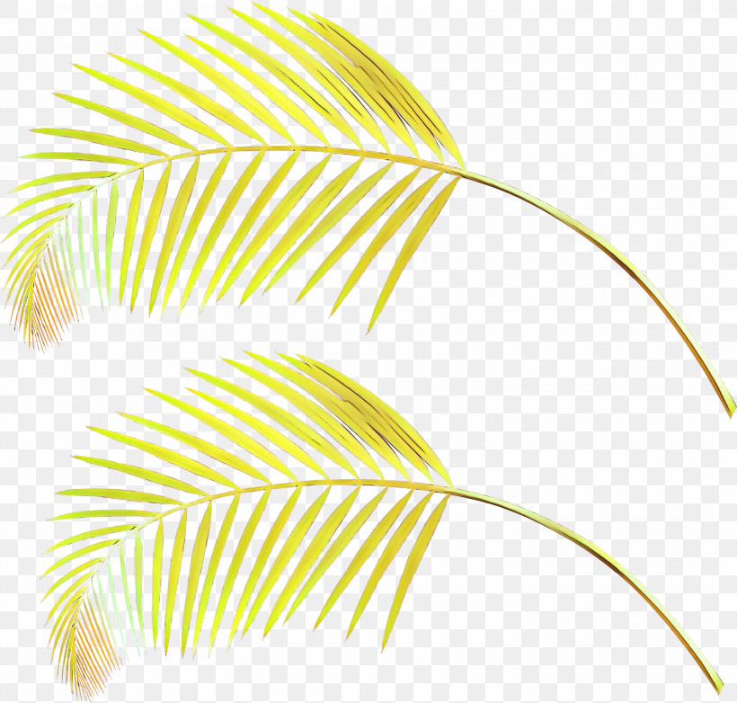 Feather, PNG, 3000x2862px, Leaf, Feather, Line, Plant, Yellow Download Free