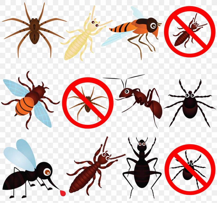 Insect Mosquito Cockroach Pest Control, PNG, 1000x937px, Insect, Arthropod, Artwork, Bed Bug, Bed Bug Control Techniques Download Free