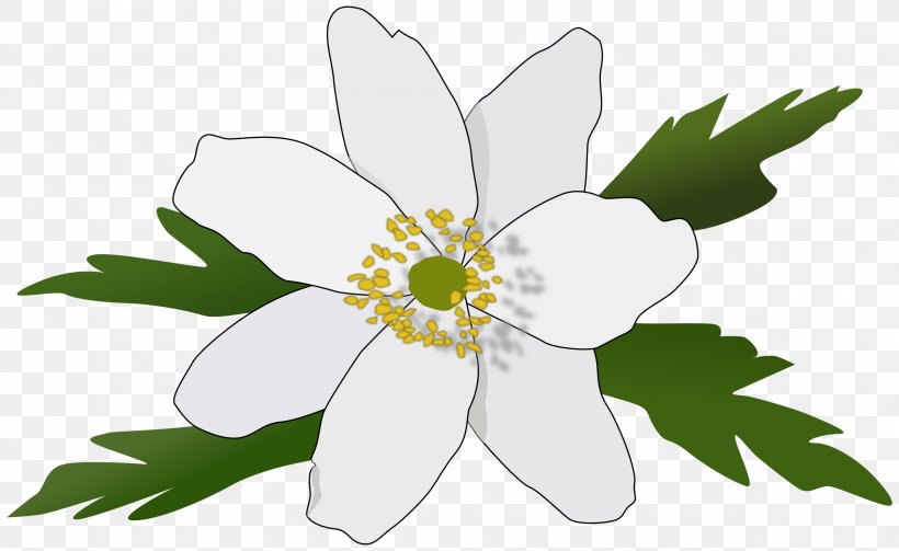 Raseborg Anemone Nemorosa, PNG, 2400x1474px, Raseborg, Anemone, Anemone Nemorosa, Artwork, Button Download Free