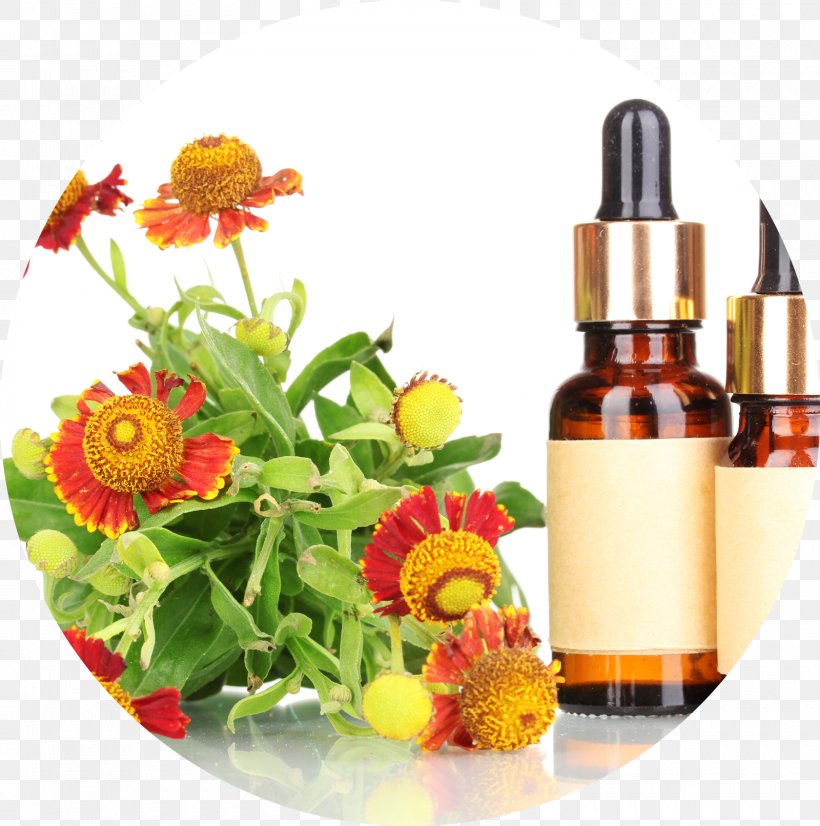 Bach Flower Remedies Therapy Homeopathy Apotheke Am Zoo Health, PNG, 1600x1612px, Bach Flower Remedies, Alternative Health Services, Cut Flowers, Disease, Edward Bach Download Free