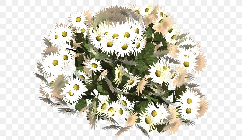 Daisy Family Chamomile Clip Art, PNG, 600x475px, Daisy Family, Argyranthemum, Chamomile, Chrysanthemum, Chrysanths Download Free