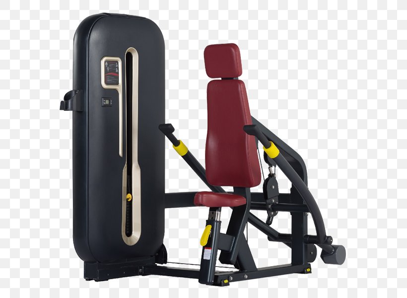Fitness Centre Exercise Machine Physical Fitness Exercise Equipment Deltoid Muscle, PNG, 600x600px, Fitness Centre, Deltoid Muscle, Exercise, Exercise Equipment, Exercise Machine Download Free