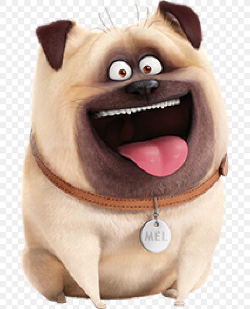 Pug Mel Max The Secret Life Of Pets Animation, PNG, 700x1012px, Pug, Animation, Carnivoran, Companion Dog, Dog Download Free