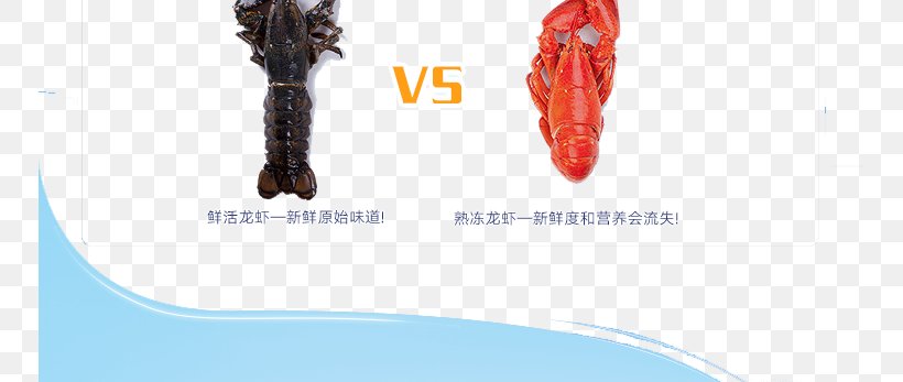 Homarus Seafood Lagosta Red Lobster, PNG, 750x347px, Homarus, Brand, Fish, Gratis, Joint Download Free
