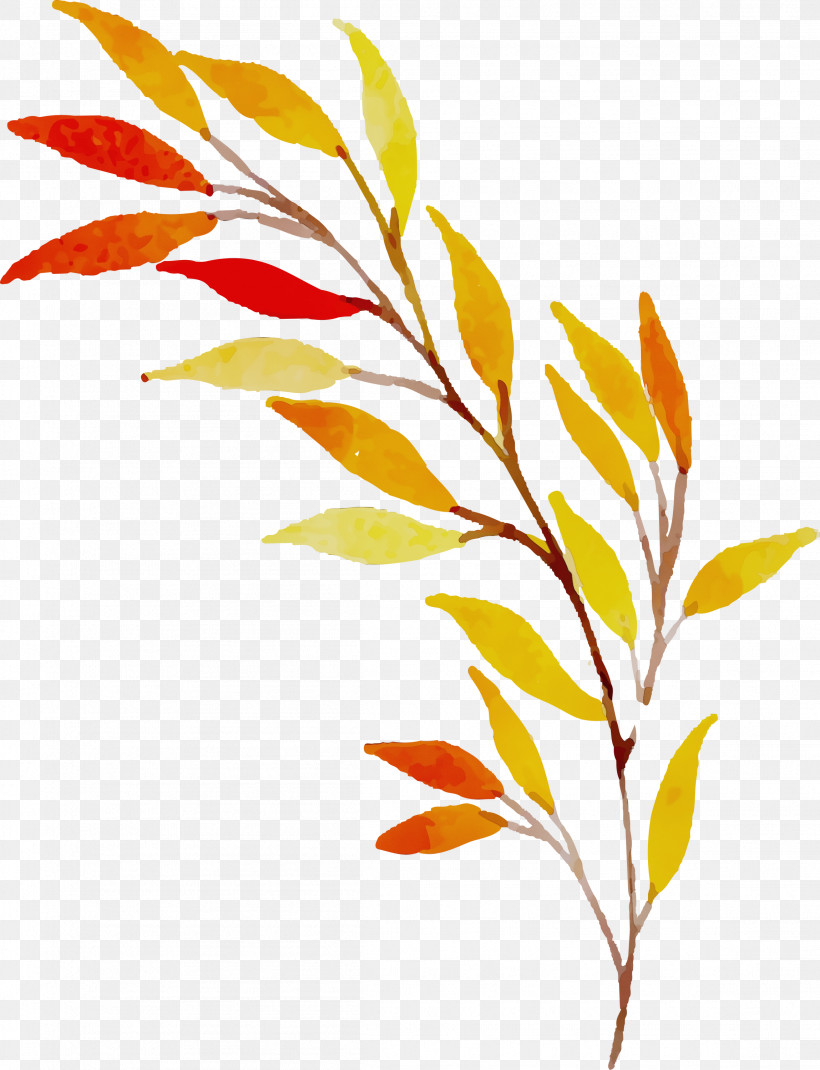 Twig Plant Stem Leaf Grasses Flower, PNG, 2298x3000px, Autumn Leaf, Biology, Colorful Leaf, Commodity, Flower Download Free