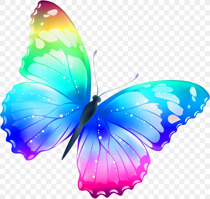 Butterfly Rainbow Color Clip Art, PNG, 1600x1520px, Butterfly, Animal, Aqua, Blue, Brush Footed Butterfly Download Free