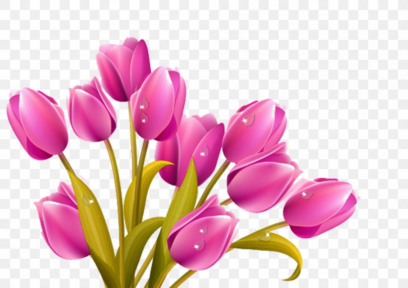Tulip Flower Bouquet Clip Art, PNG, 999x706px, Tulip, Color, Cut Flowers, Floral Design, Floristry Download Free