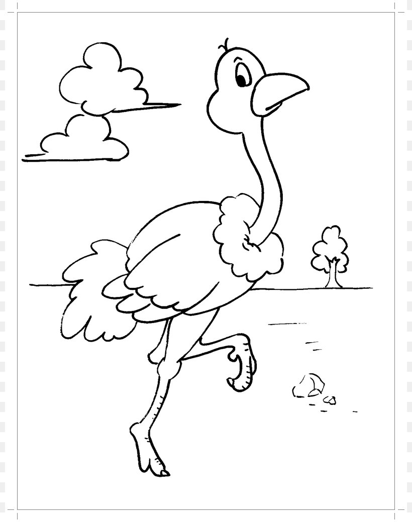 Bird Common Ostrich Coloring Book Parrot Ausmalbild, PNG, 800x1039px, Bird, Animal, Area, Art, Ausmalbild Download Free