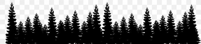 Eastern White Pine Tree Forest Clip Art, PNG, 1200x266px, Pine, Black And White, Color, Drawing, Eastern White Pine Download Free