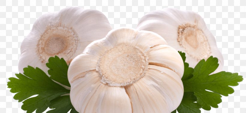 Garlic Stock Photography Food, PNG, 1100x506px, Garlic, Banco De Imagens, Bulb, Cut Flowers, Flower Download Free