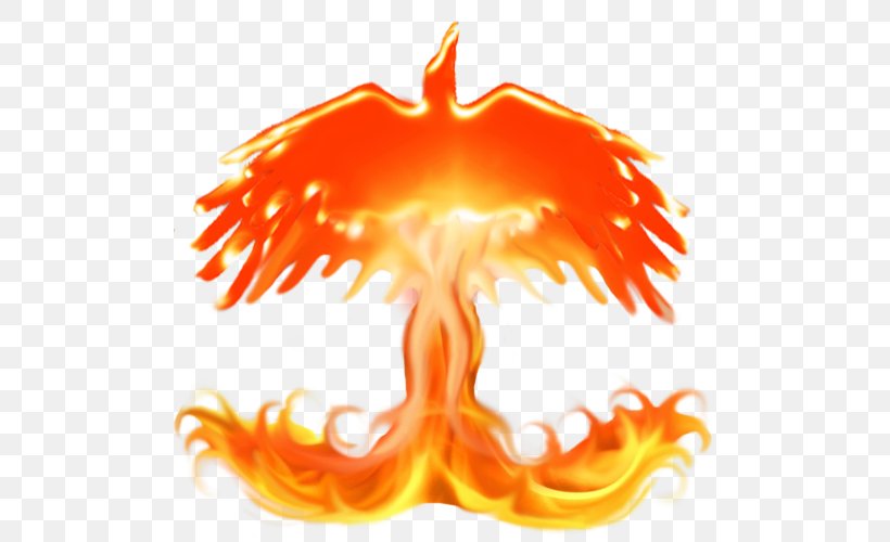Fire Flame Logo Wiki, PNG, 500x500px, Fire, Copyright, Flame, Hawk, Logo Download Free