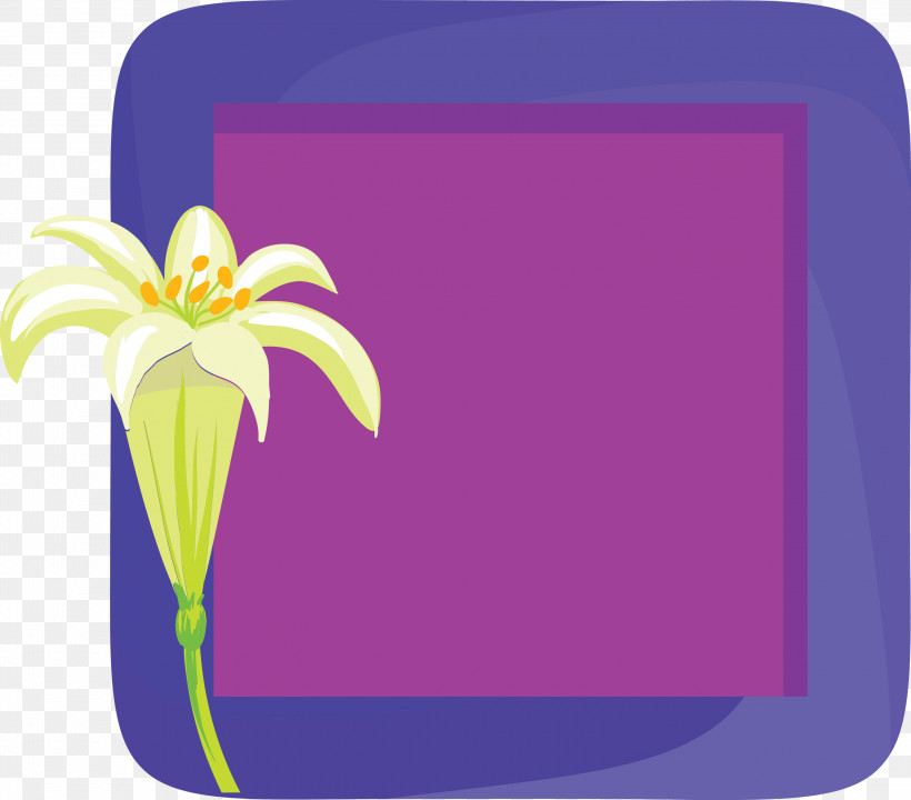 Flower Photo Frame Flower Frame Photo Frame, PNG, 3000x2637px, Flower Photo Frame, Film Frame, Flower, Flower Frame, Lavender Download Free