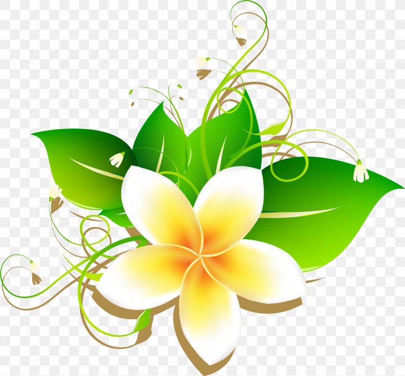 Frangipani Download Drawing, PNG, 2501x2322px, Frangipani, Cartoon, Drawing, Flora, Floral Design Download Free