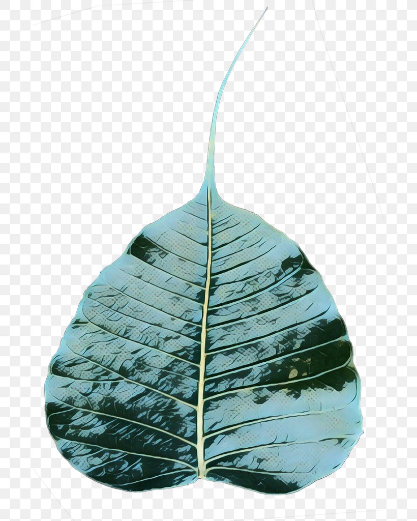 Leaf, PNG, 689x1024px, Leaf, Anthurium, Blue, Feather, Plant Download Free