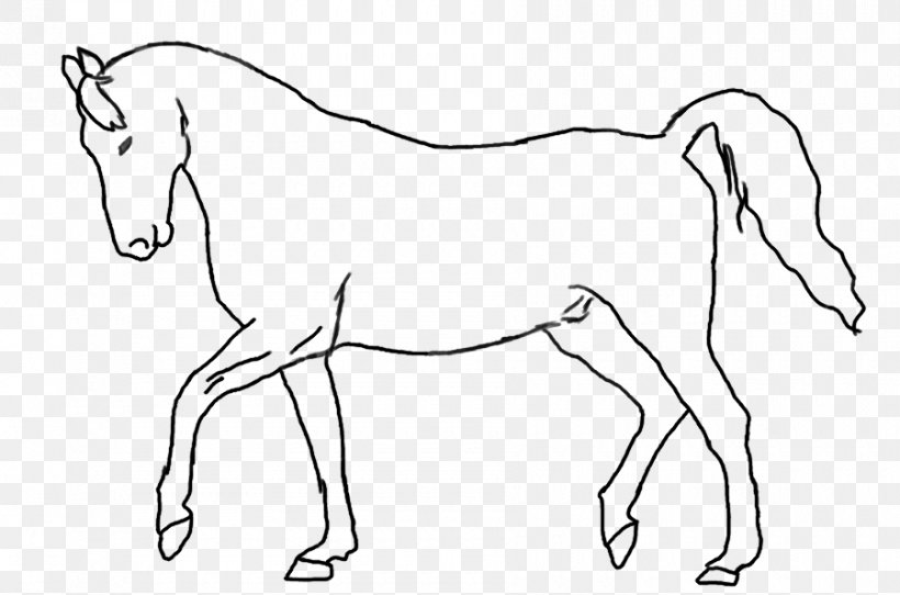 Mane Mule Foal Stallion Colt, PNG, 900x595px, Watercolor, Cartoon, Flower, Frame, Heart Download Free