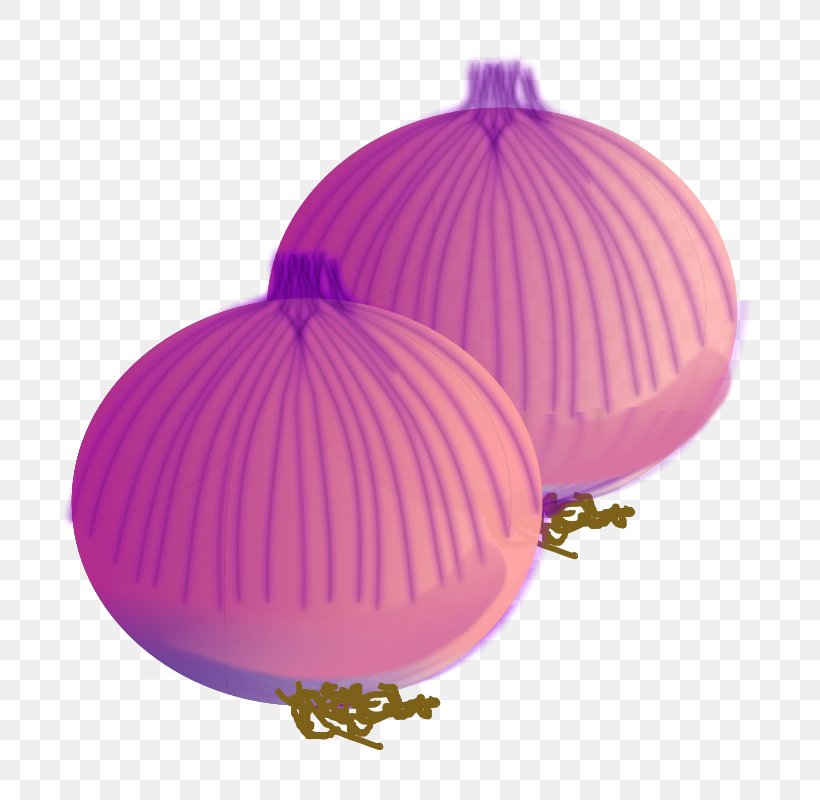 Onion Vegetable Clip Art, PNG, 800x800px, Onion, Drawing, Free Content, Garlic, Magenta Download Free