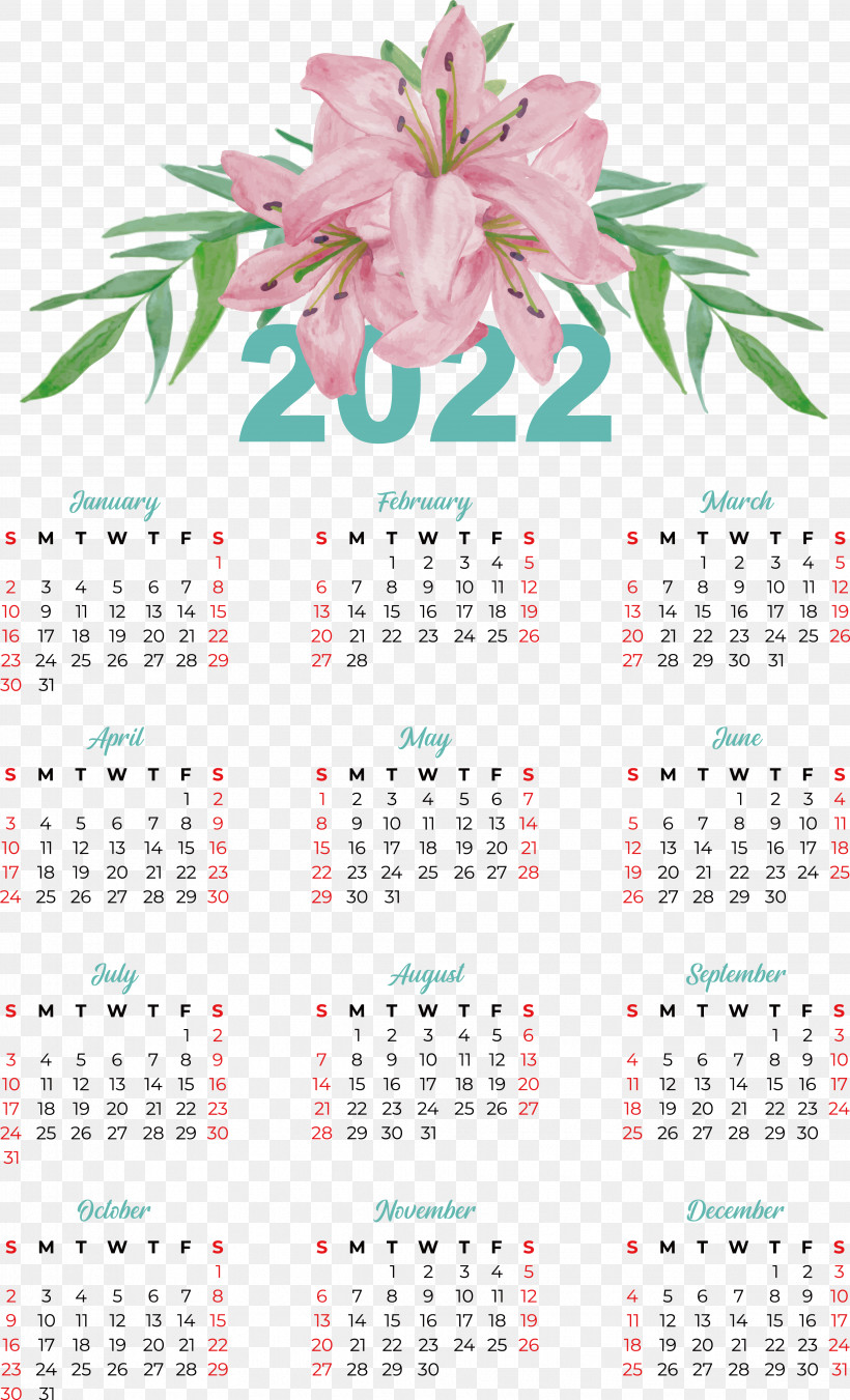 Flower Calendar Meter Plant Science, PNG, 3665x6042px, Flower, Biology, Calendar, Meter, Plant Download Free