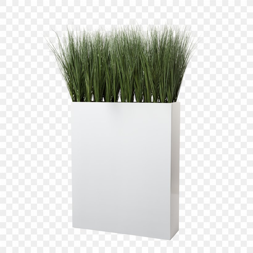 Ornamental Grass Grasses Tropical Woody Bamboos Flowerpot, PNG, 2825x2825px, Ornamental Grass, Boat Orchid, Color, Flower, Flower Bouquet Download Free