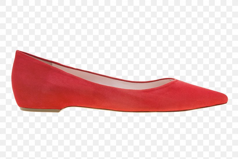 Ballet Flat Shoe Boot Strap, PNG, 1024x683px, Ballet Flat, Ballet, Boot, Court Shoe, Footwear Download Free