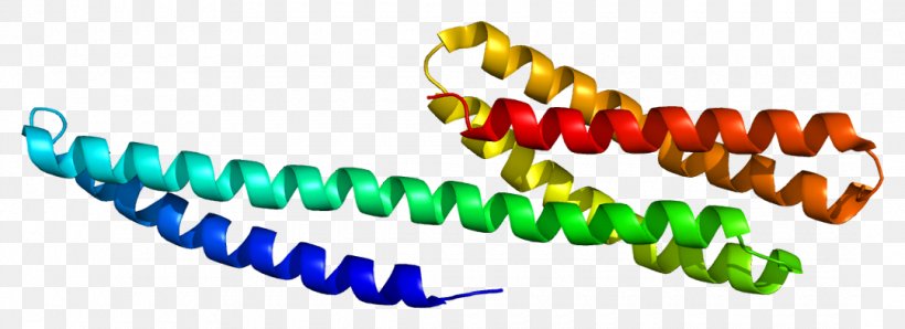 Catenin Alpha-1 Alpha Catenin Beta-catenin Protein, PNG, 1080x393px, Watercolor, Cartoon, Flower, Frame, Heart Download Free