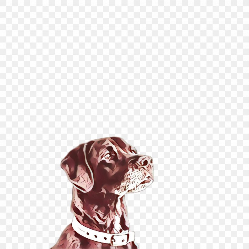 Dog Labrador Retriever Dog Collar Sporting Group Pointing Breed, PNG, 2000x2000px, Cartoon, Dog, Dog Collar, Labrador Retriever, Pointer Download Free