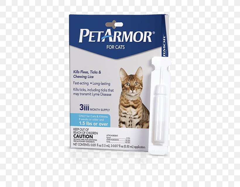 Kitten Cat Dog Flea Louse, PNG, 640x640px, Kitten, Cat, Cat Flea, Cat Like Mammal, Dog Download Free