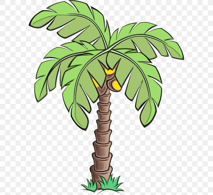 Palm Tree, PNG, 599x750px, Watercolor, Green, Houseplant, Leaf, Paint Download Free