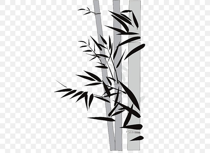 Bamboo Bamboe Euclidean Vector, PNG, 592x596px, Bamboo, Bamboe, Black And White, Branch, Drawing Download Free