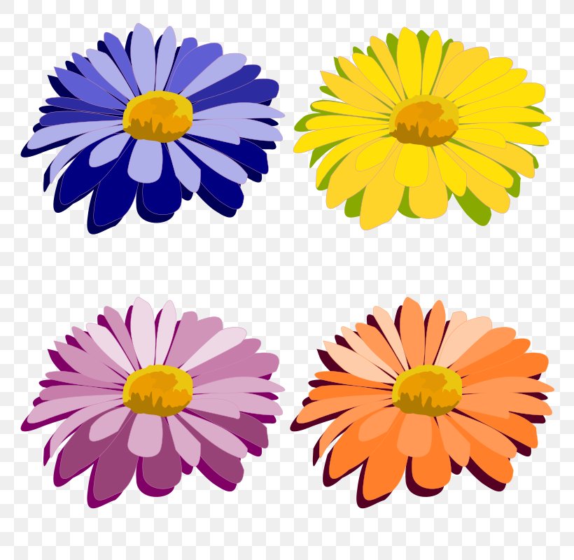 Flower Clip Art, PNG, 800x800px, Flower, Annual Plant, Aster, Calendula, Chamaemelum Nobile Download Free